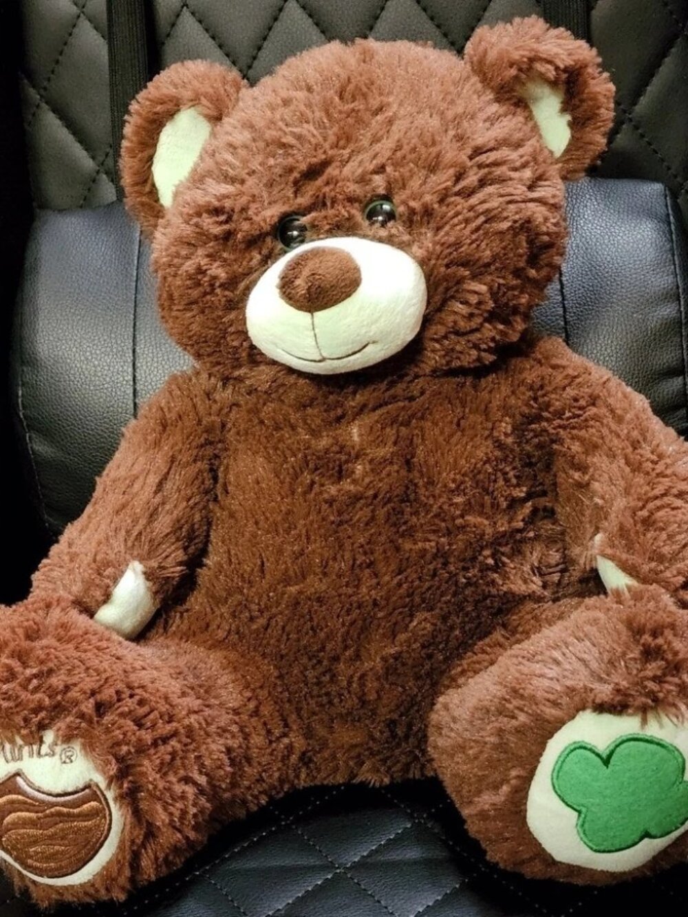 Build-A-Bear Workshop Girl Scouts Thin Mints Cookie Bear P5